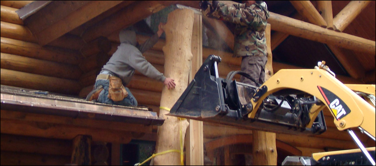 Log Home Log Replacement  Chilhowie, Virginia
