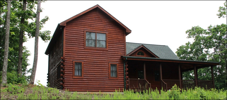 Professional Log Home Borate Application  Smyth County, Virginia